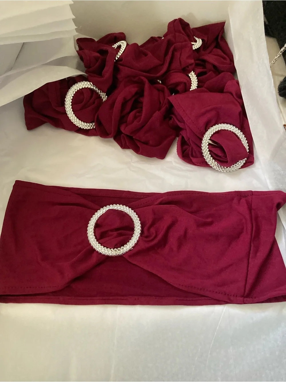 Burgundy Circle-Ring light weight Chair Sach’s